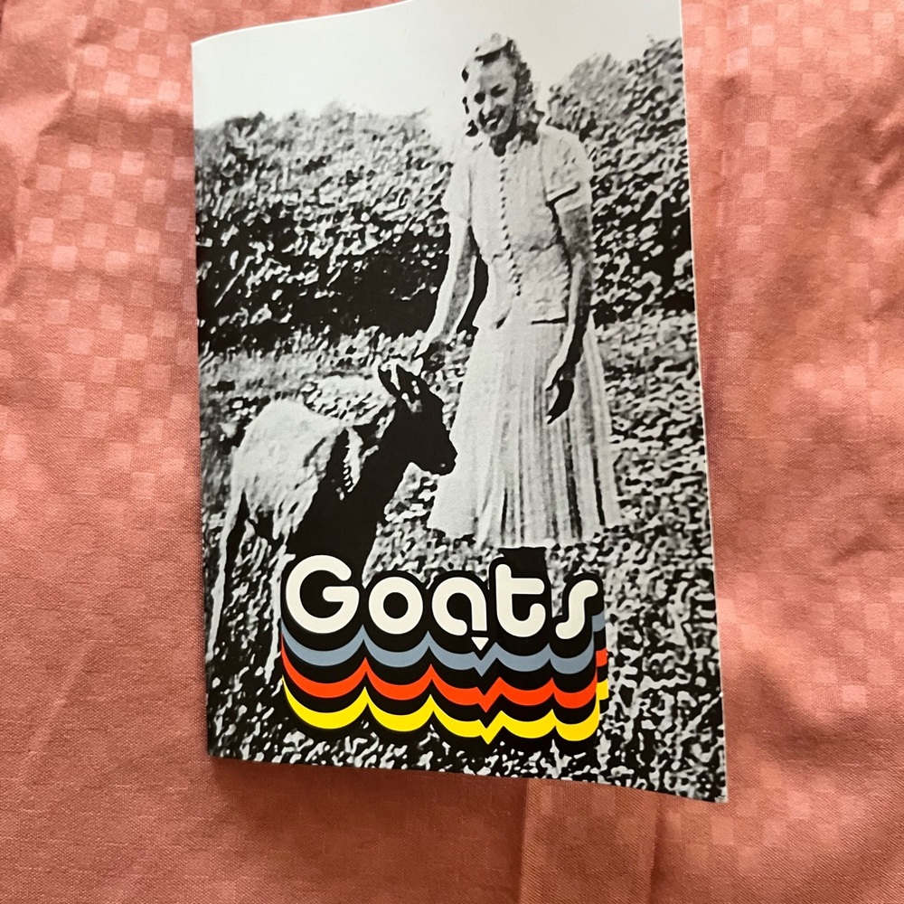😀 NWT Goats Sneakers - Picture 7 of 7
